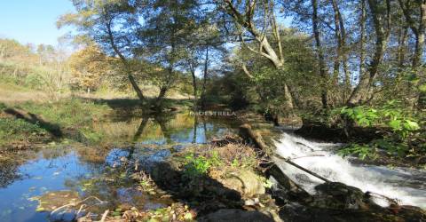 Quinta  Venda em Santa Comba,Seia