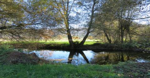Quinta  Venda em Santa Comba,Seia