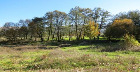 Quinta  Venda em Santa Comba,Seia