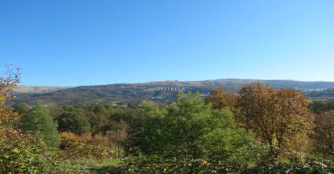 Quinta  Venda em Santa Comba,Seia