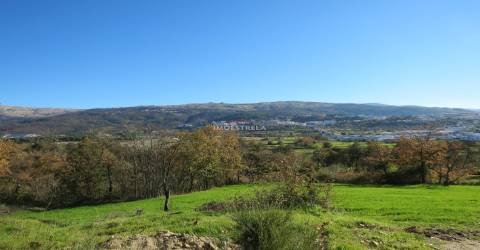 Quinta  Venda em Santa Comba,Seia
