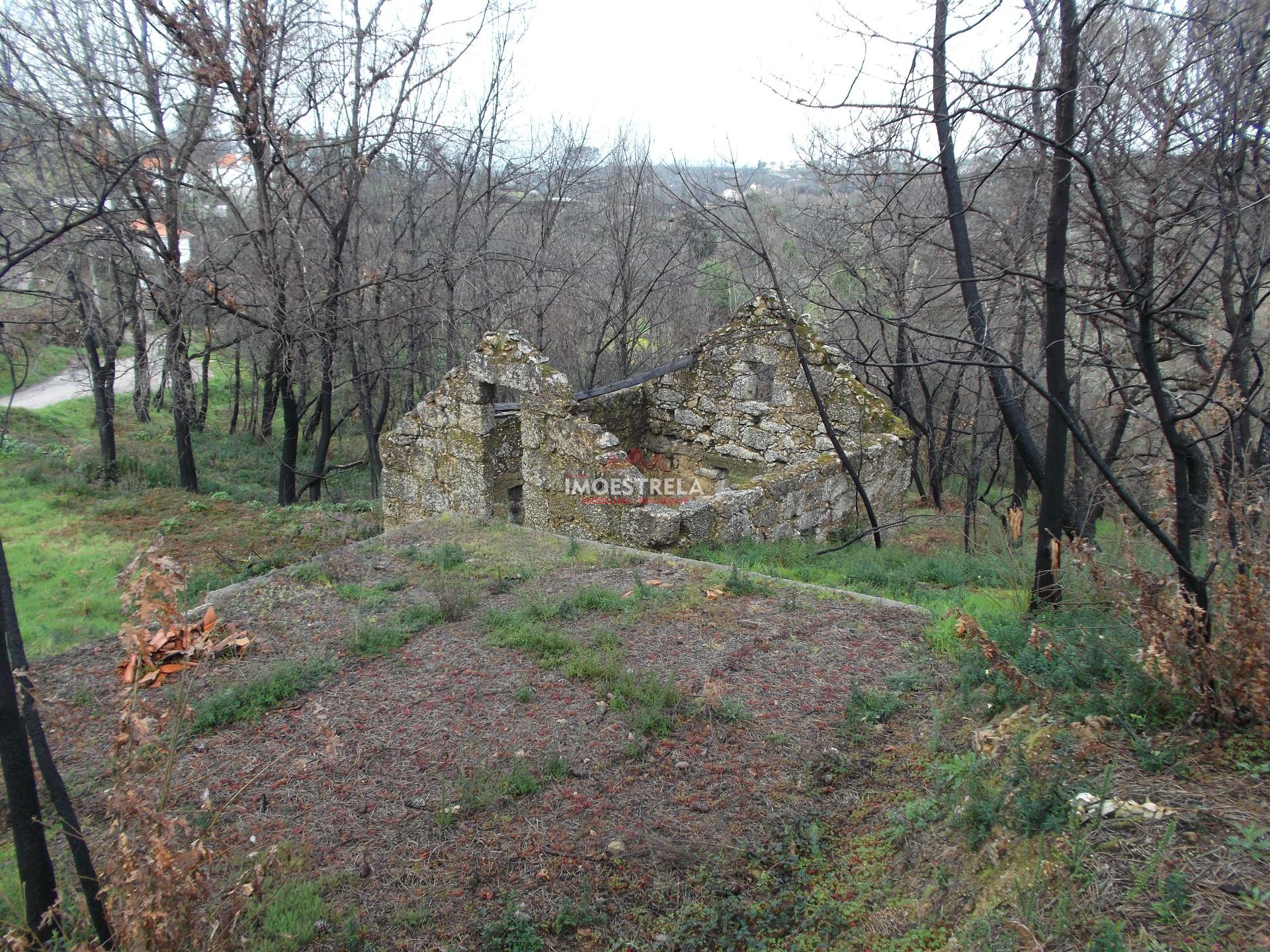 Quintinha  Venda em Covas e Vila Nova de Oliveirinha,Tábua