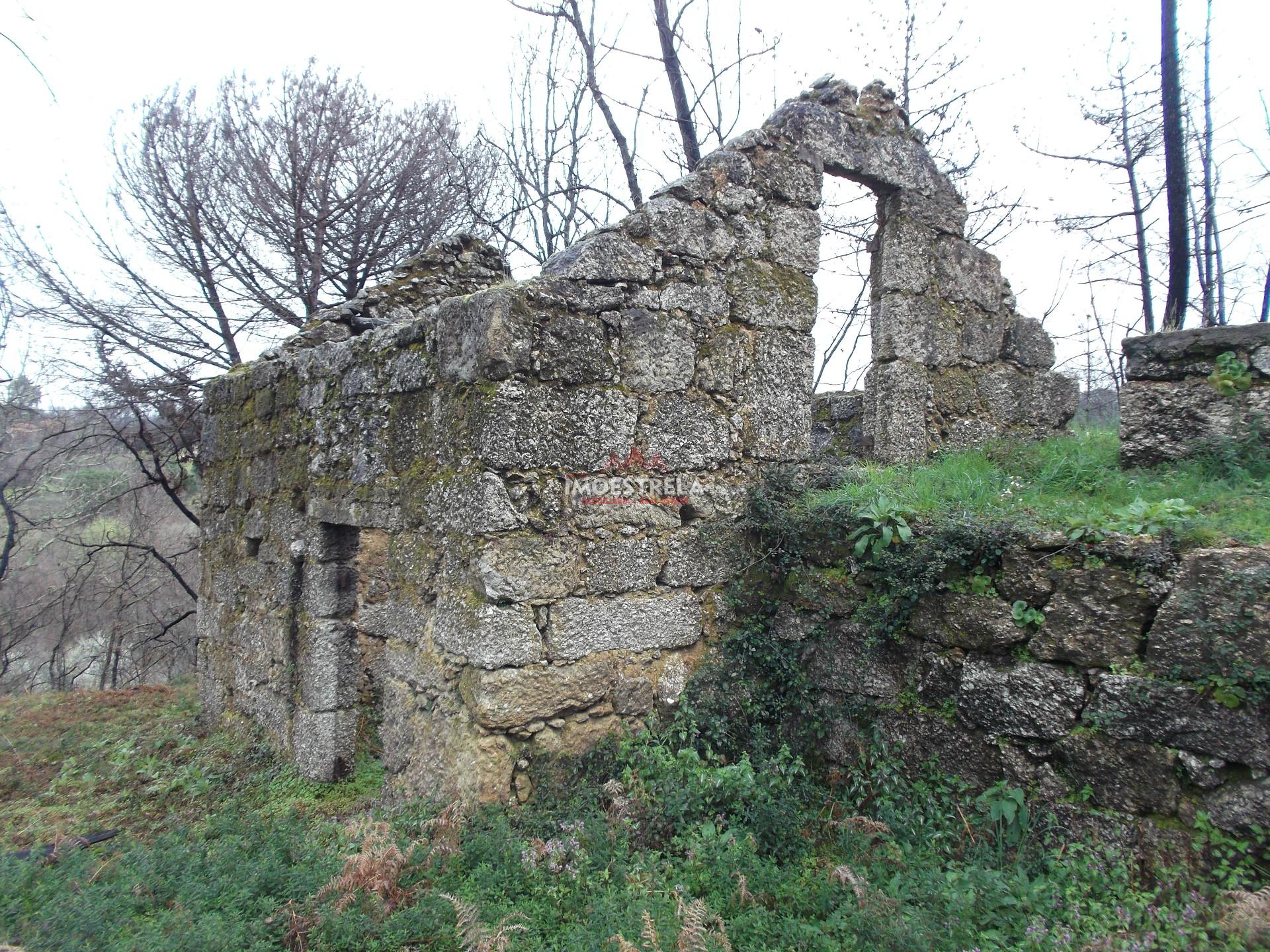 Quintinha  Venda em Covas e Vila Nova de Oliveirinha,Tábua