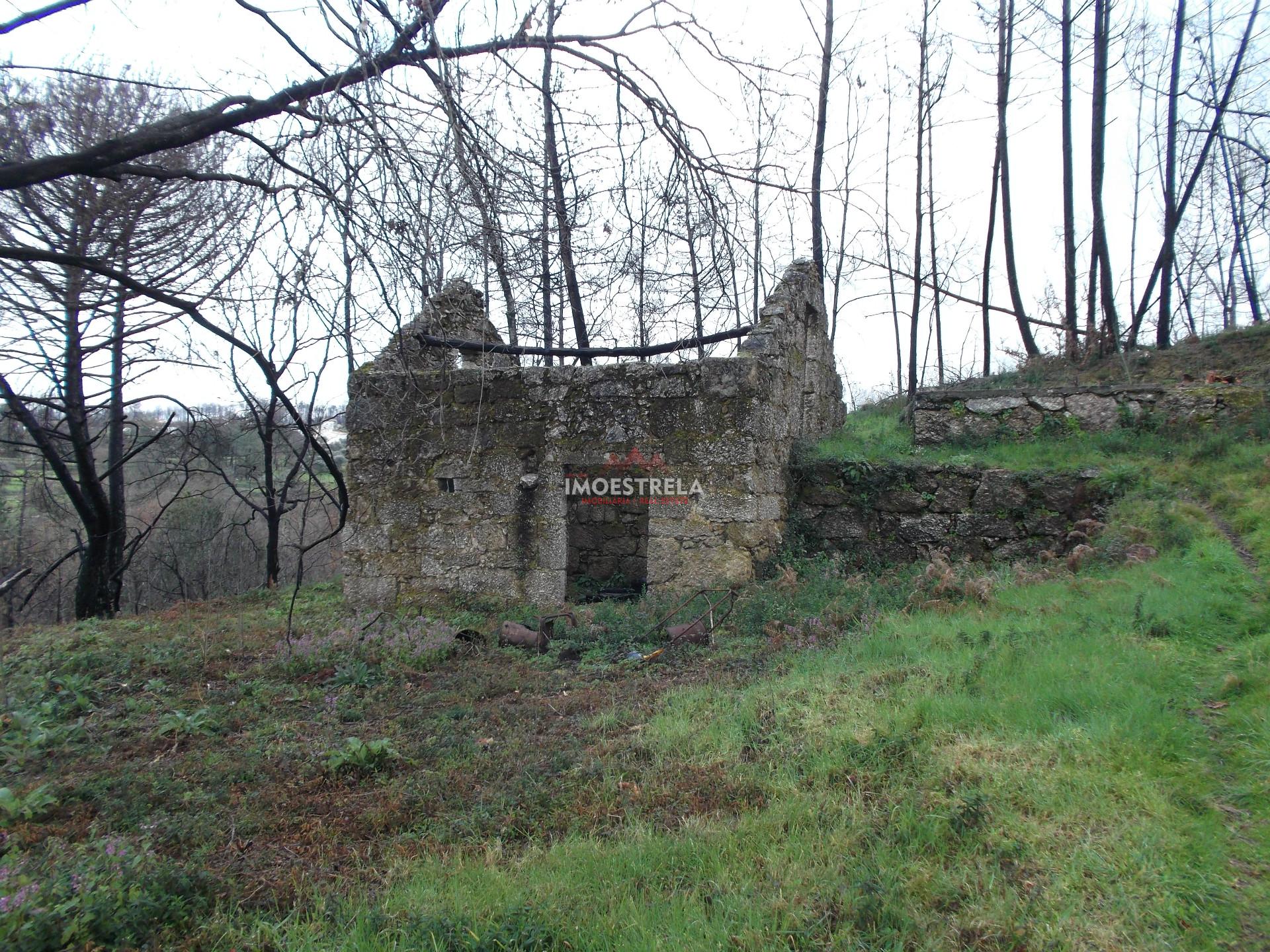 Quintinha  Venda em Covas e Vila Nova de Oliveirinha,Tábua