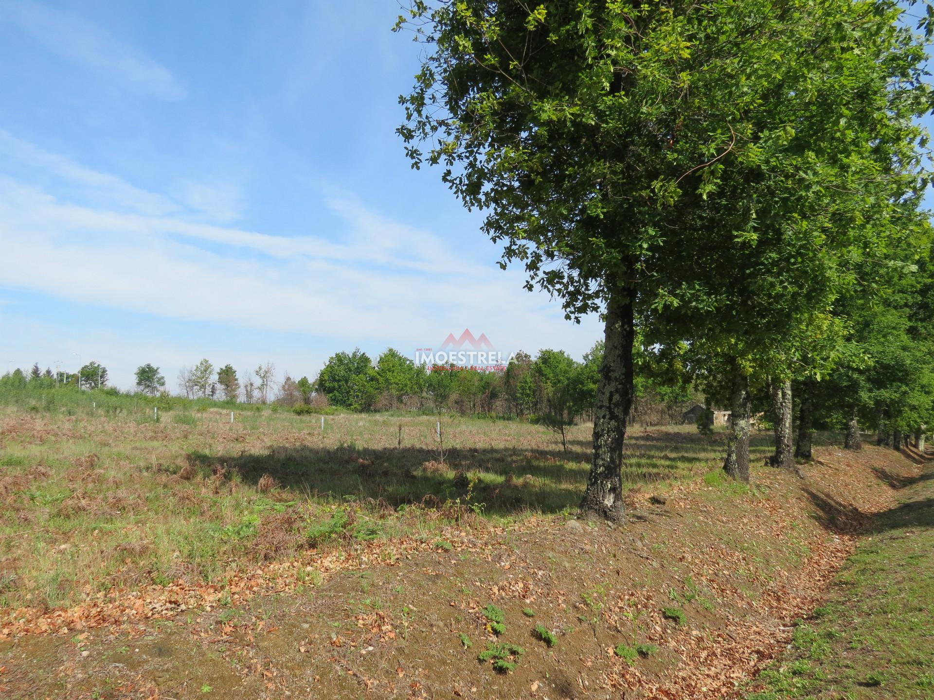 Terreno Para Construção  Venda em Santiago,Seia