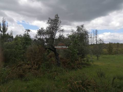 Terreno Rústico  Venda em Santiago,Seia