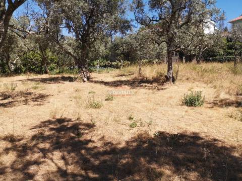 Terreno Para Construção  Venda em Seia, São Romão e Lapa dos Dinheiros,Seia