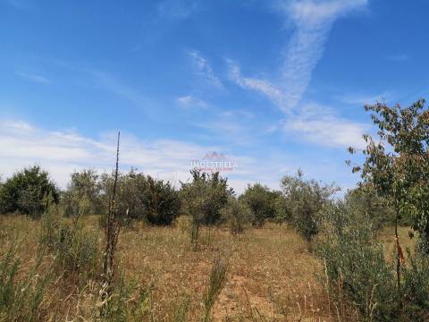 Terreno Rústico  Venda em Santiago,Seia