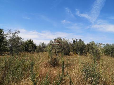 Terreno Rústico  Venda em Santiago,Seia