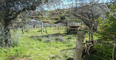 Moradia T3 Venda em Meruge,Oliveira do Hospital