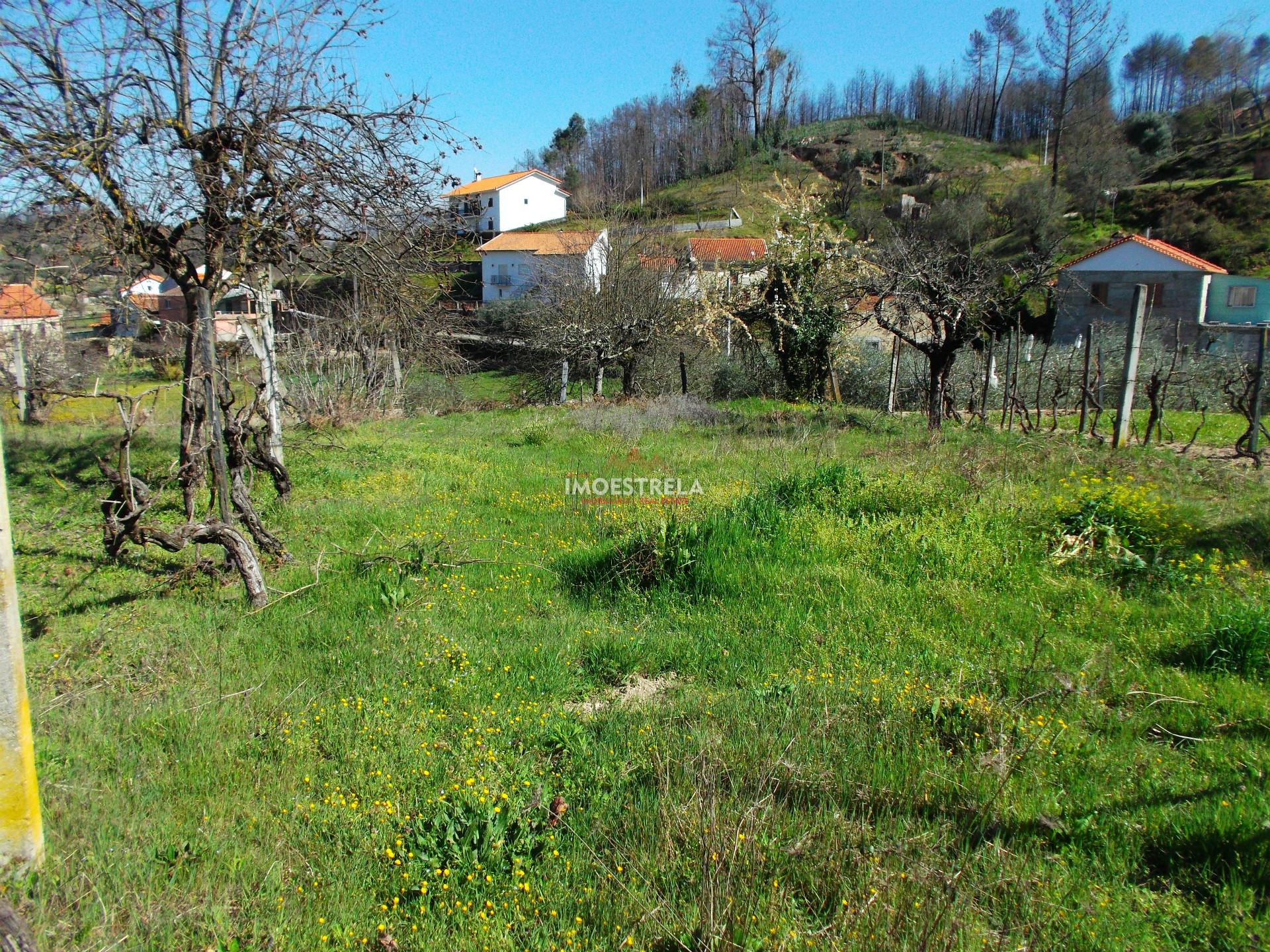 Moradia T3 Venda em Meruge,Oliveira do Hospital