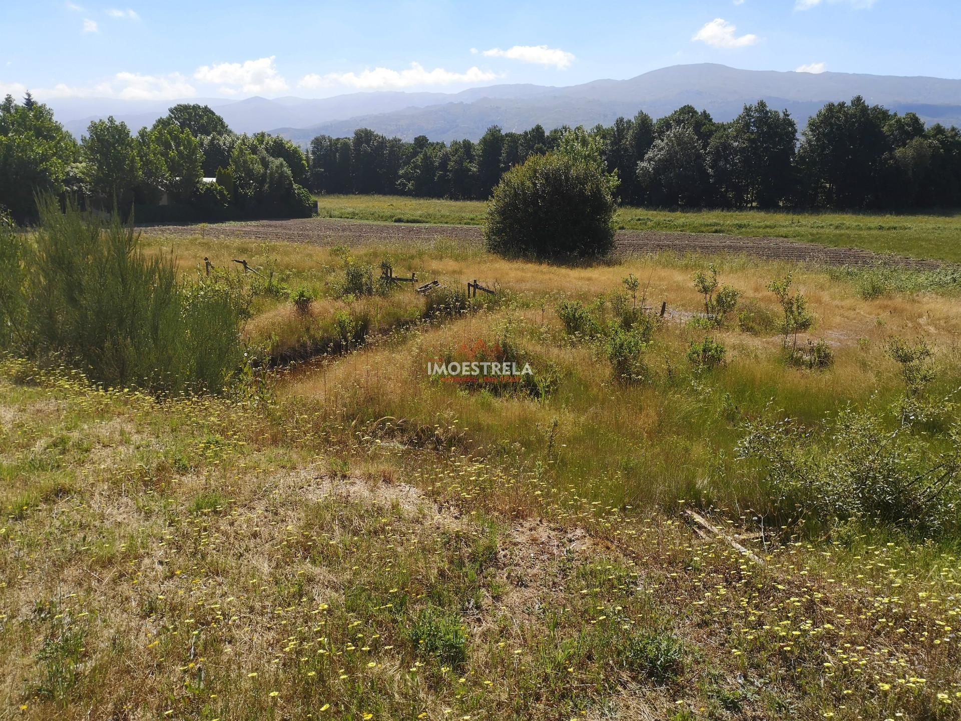 Lote de Terreno  Venda em Pinhanços,Seia