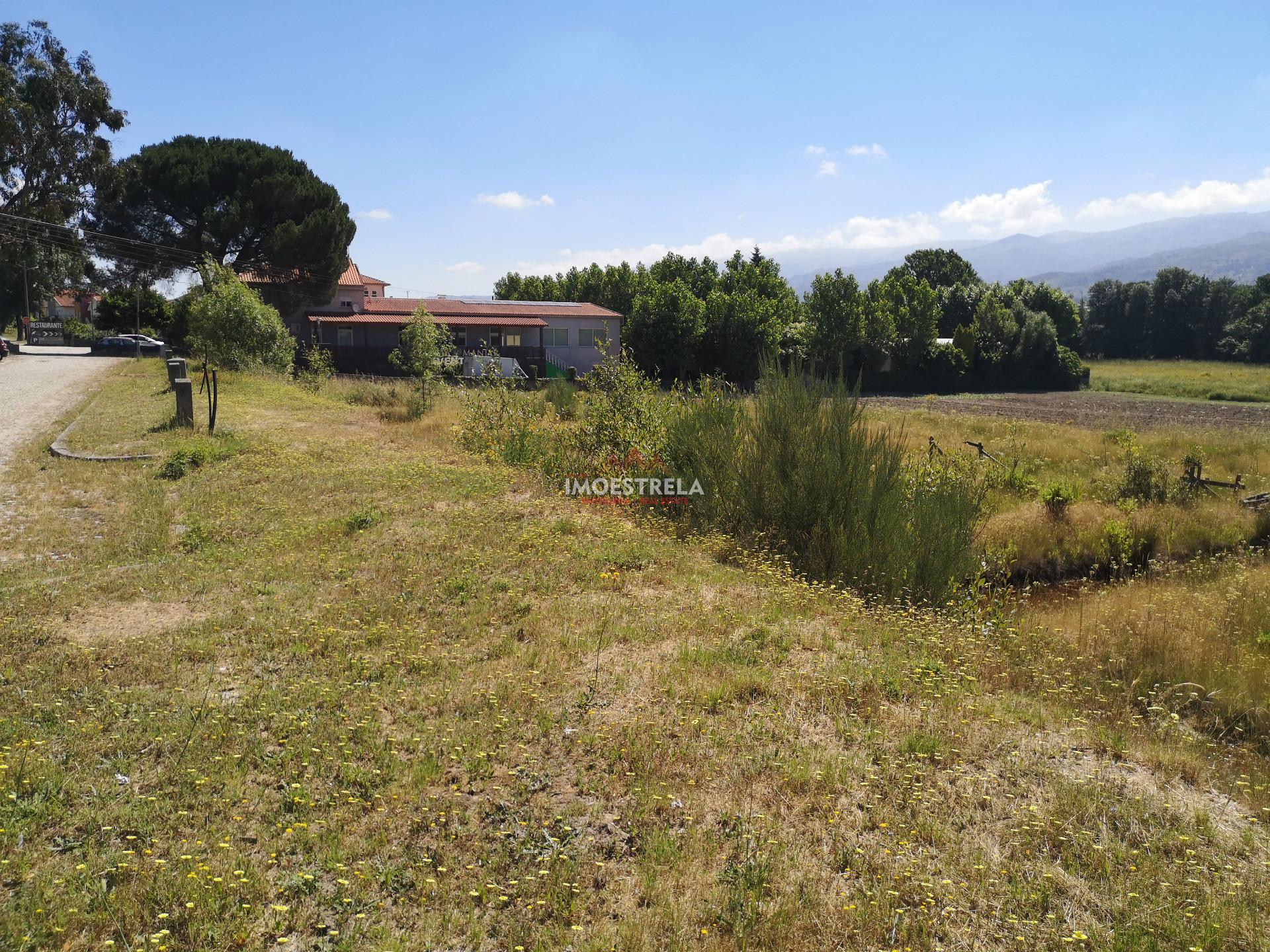 Lote de Terreno  Venda em Pinhanços,Seia