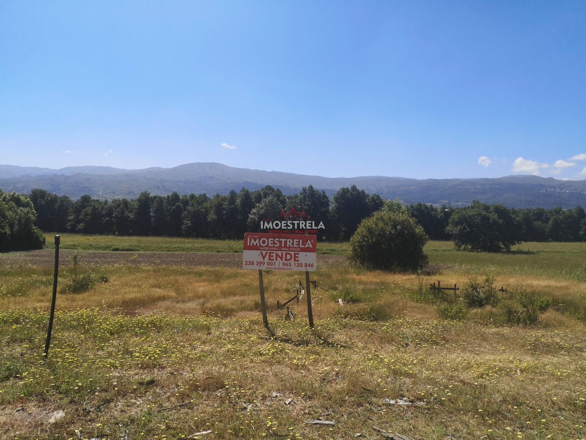 Lote de Terreno  Venda em Pinhanços,Seia