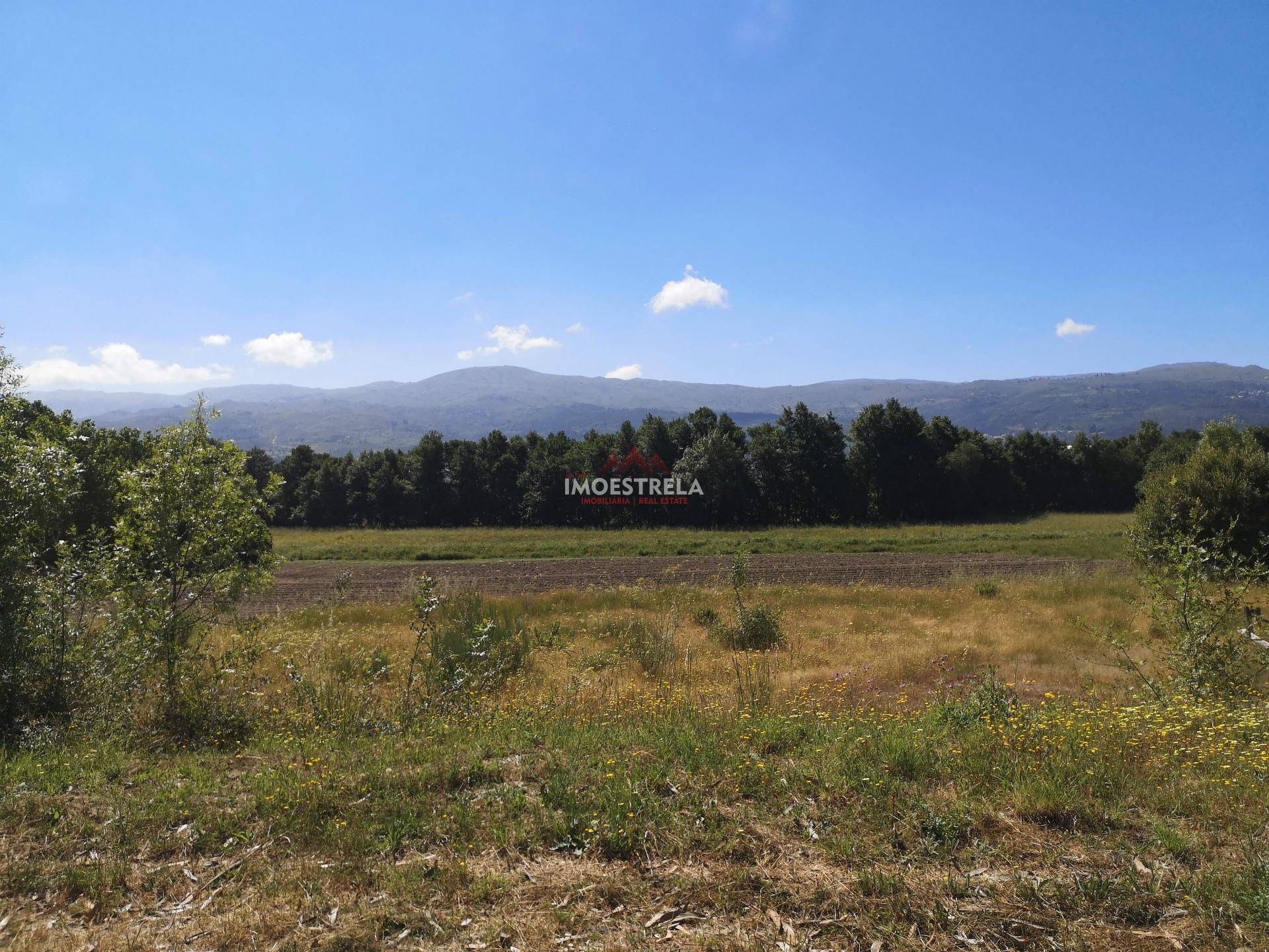 Lote de Terreno  Venda em Pinhanços,Seia