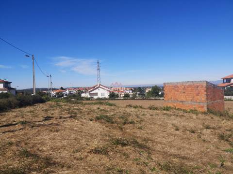 Terreno para construção São Romão - Seia