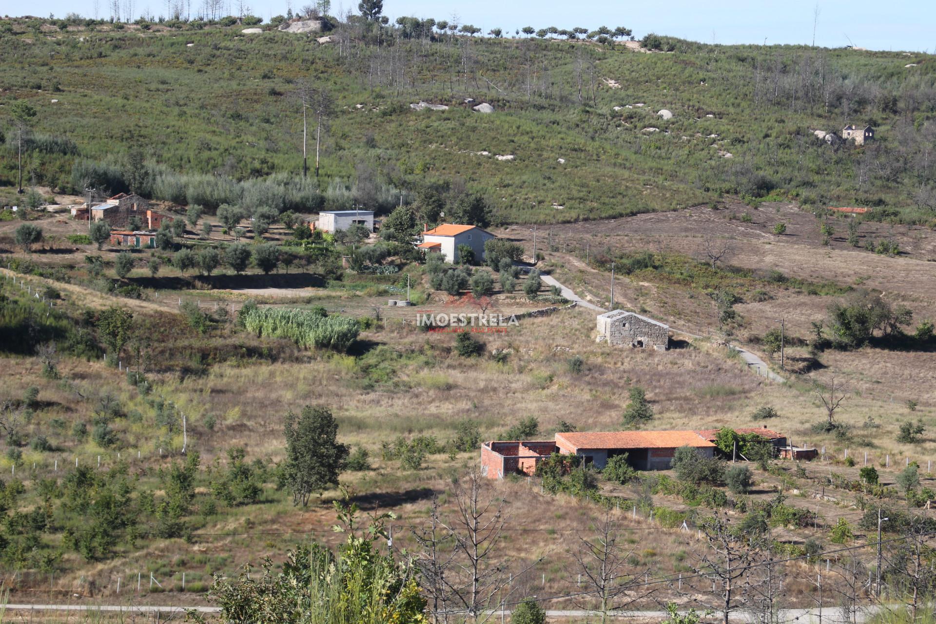 Quinta 2ha Oliveira do Hospital