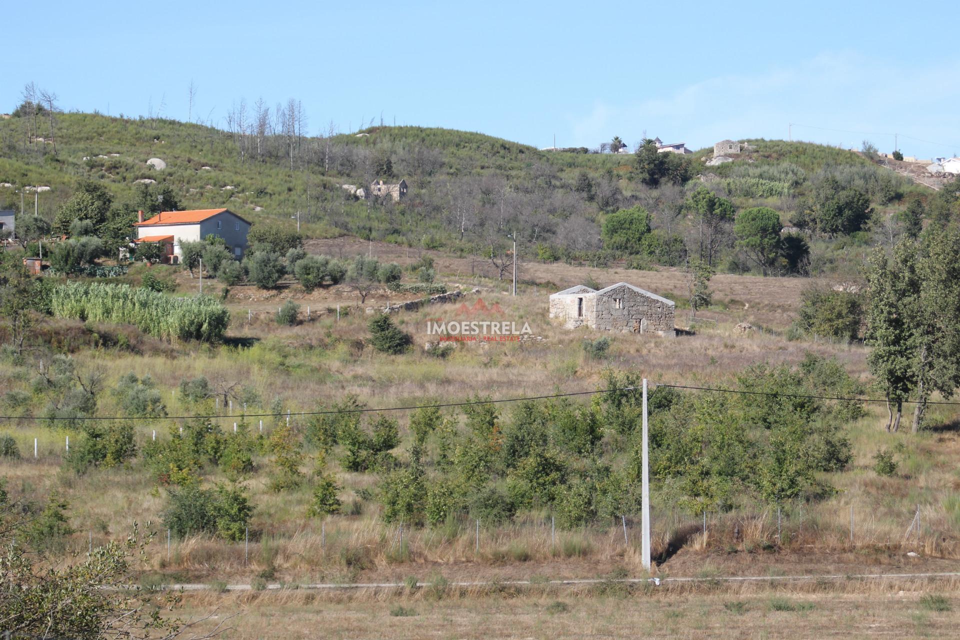 Quinta 2ha Oliveira do Hospital