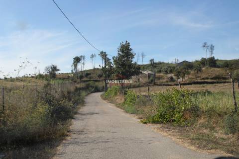 Quinta 2ha Oliveira do Hospital