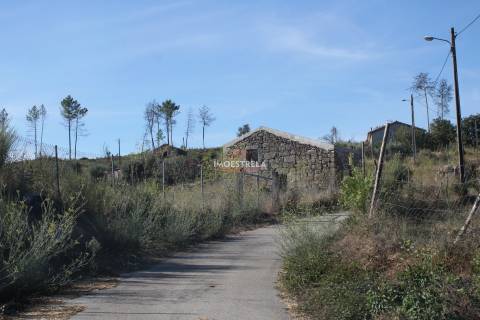 Quinta 2ha Oliveira do Hospital