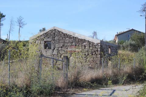 Quinta 2ha Oliveira do Hospital
