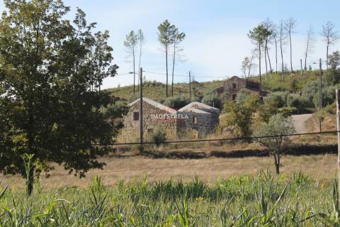 Quinta 2ha Oliveira do Hospital