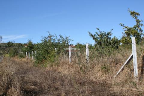 Quinta 2ha Oliveira do Hospital