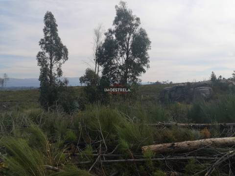 Quota parte (1/2) terreno Paranhos da Beira