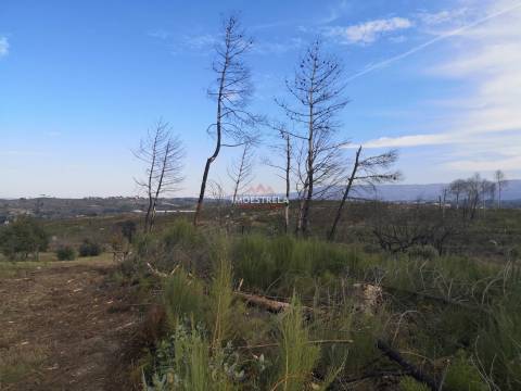 Quota parte (1/2) terreno Paranhos da Beira