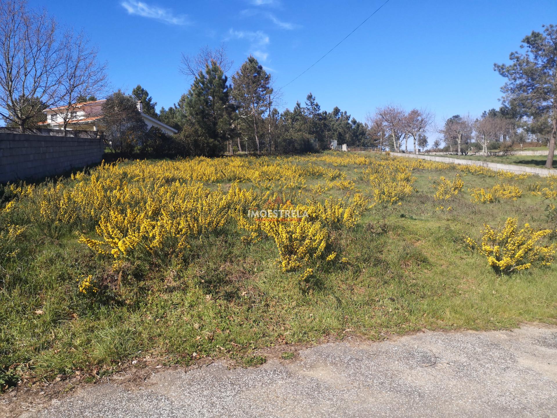 Lote terreno Santiago - Vila Branca