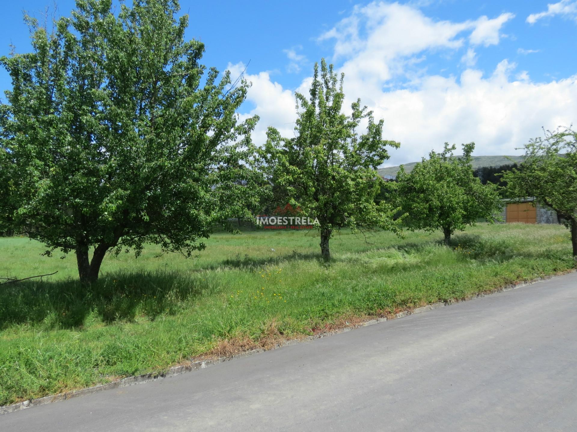 Terreno construção Seia 12.000m2