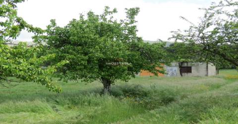 Terreno construção Seia 12.000m2