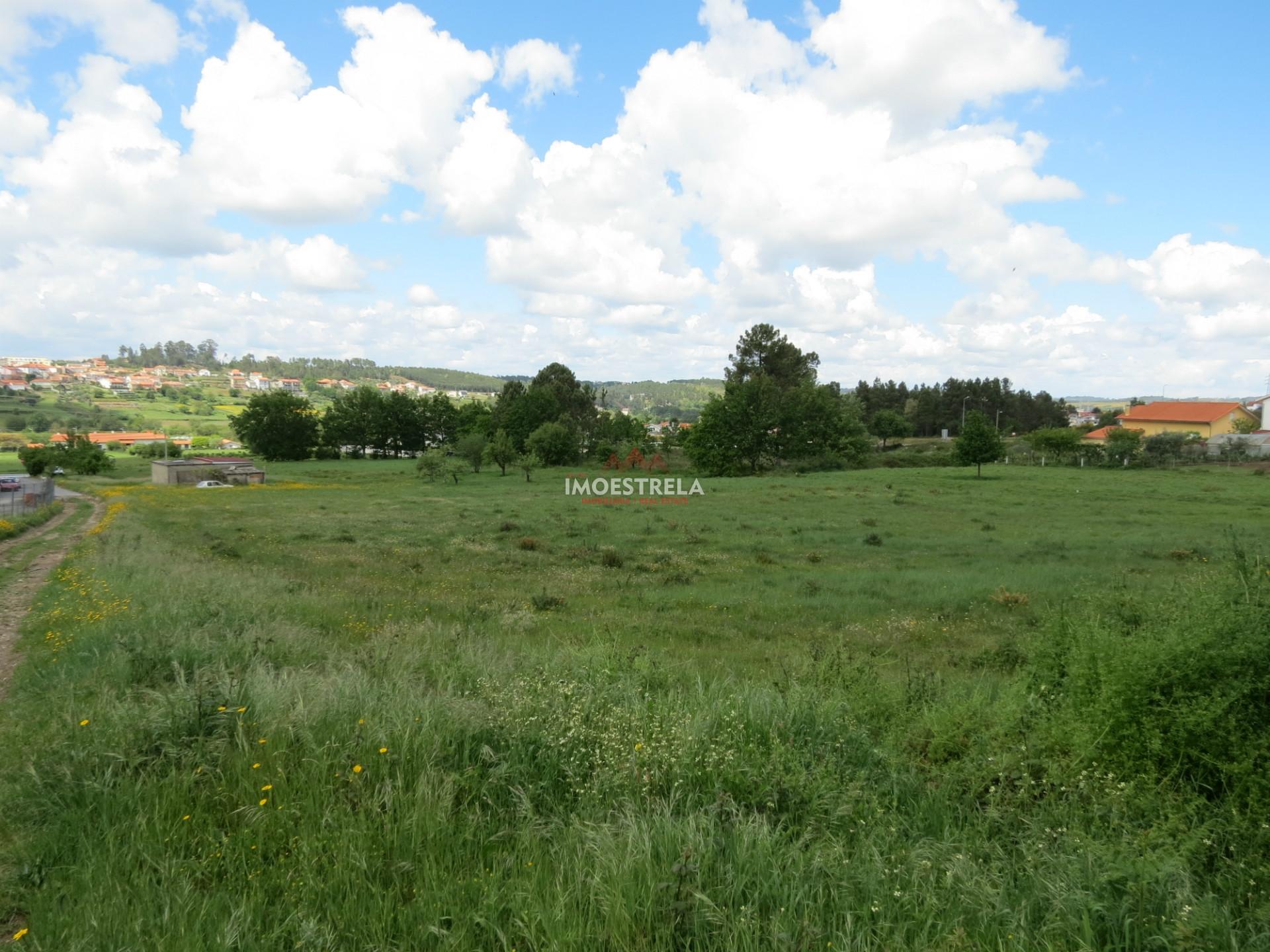 Terreno construção Seia 12.000m2