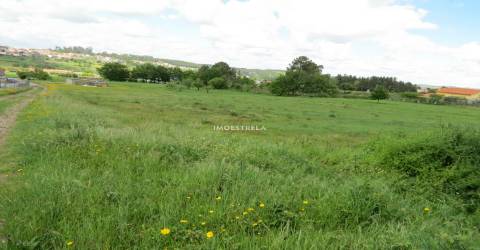 Terreno construção Seia 12.000m2