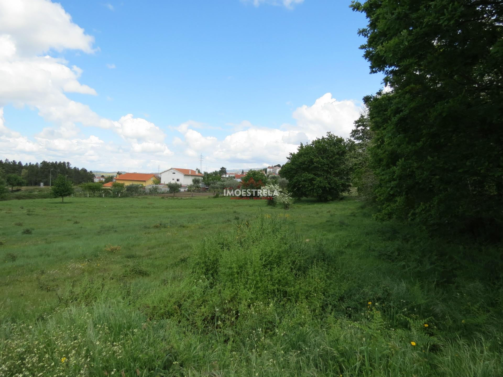 Terreno construção Seia 12.000m2