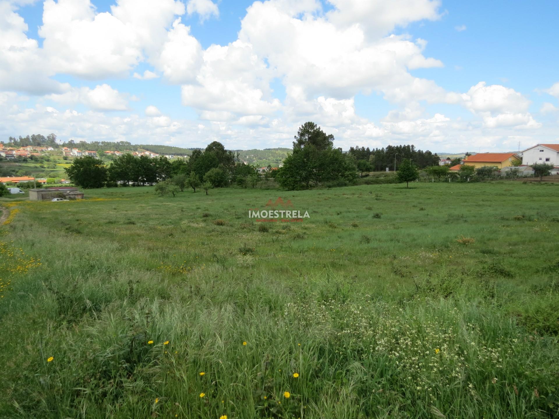 Terreno construção Seia 12.000m2