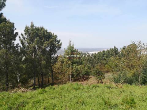 Terreno construção - 3.730m2