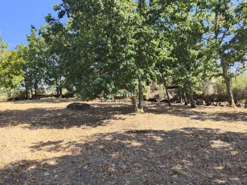 Quinta  Venda em Moimenta da Serra e Vinhó,Gouveia