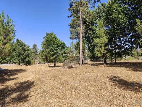 Quinta  Venda em Moimenta da Serra e Vinhó,Gouveia