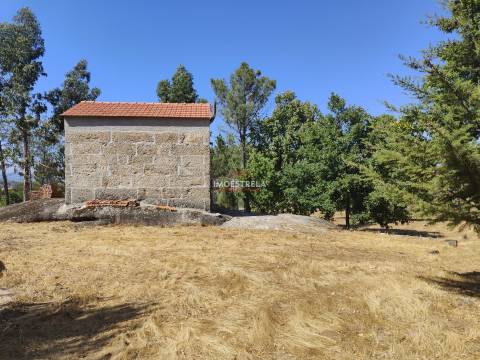 Quinta  Venda em Moimenta da Serra e Vinhó,Gouveia