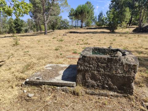 Quinta  Venda em Moimenta da Serra e Vinhó,Gouveia