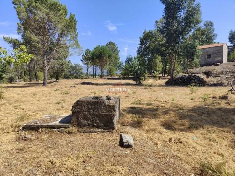Quinta  Venda em Moimenta da Serra e Vinhó,Gouveia
