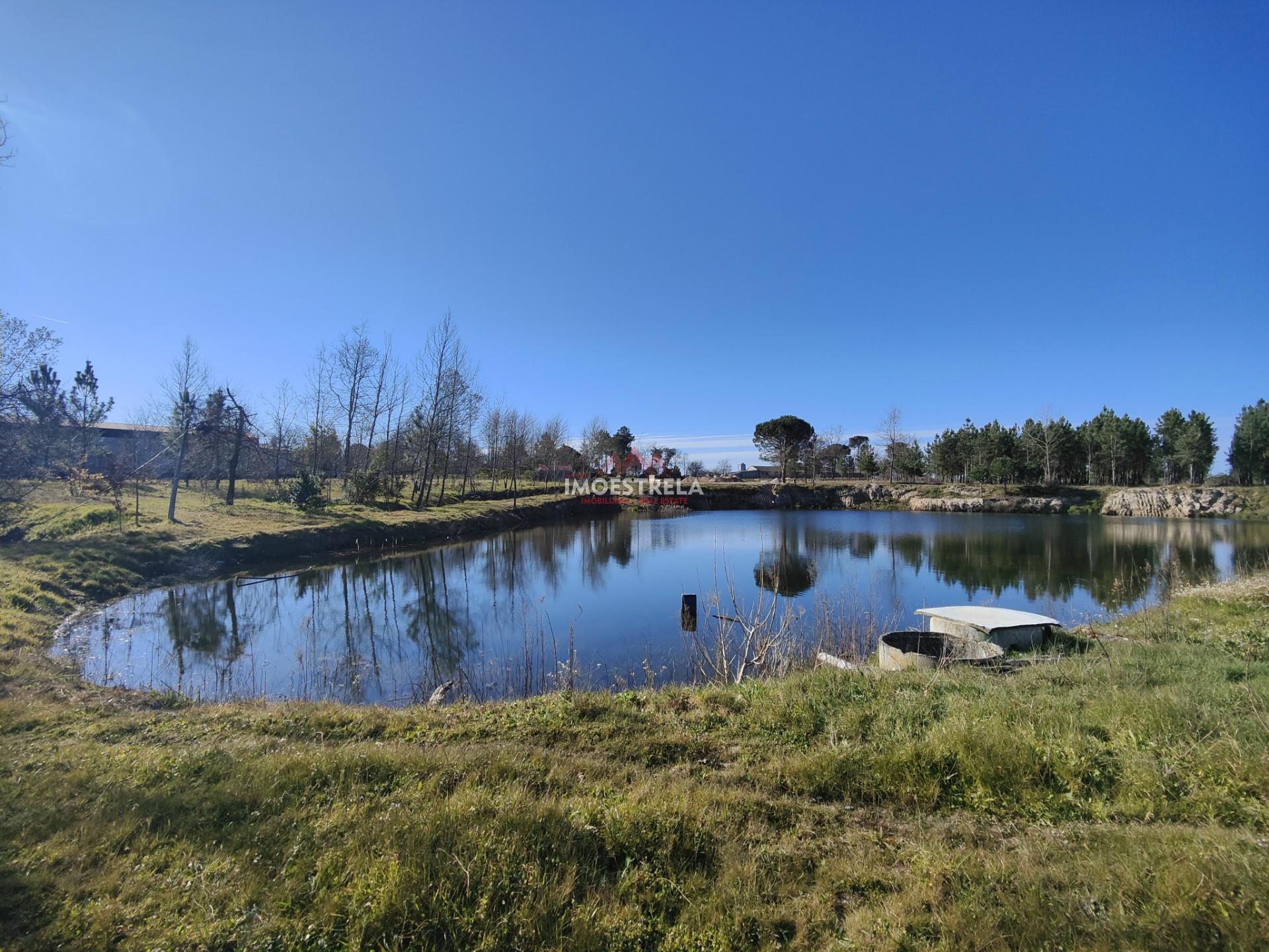 Quinta  Venda em Tourais e Lajes,Seia