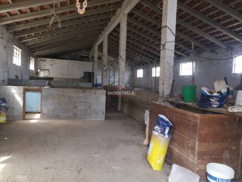 Quinta Serra Estrela