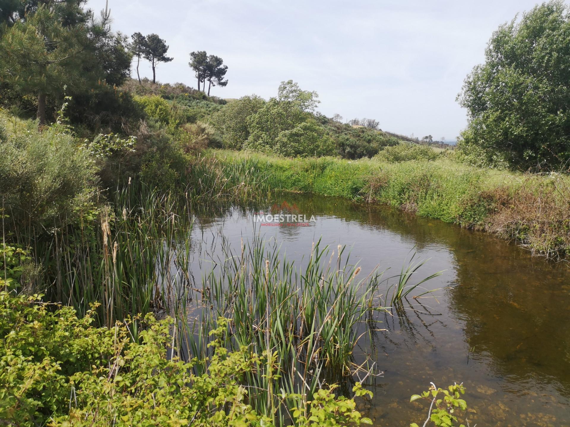 Quinta Serra Estrela