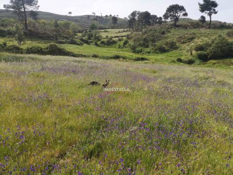 Quinta Serra Estrela