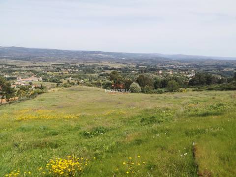 Quinta Serra Estrela