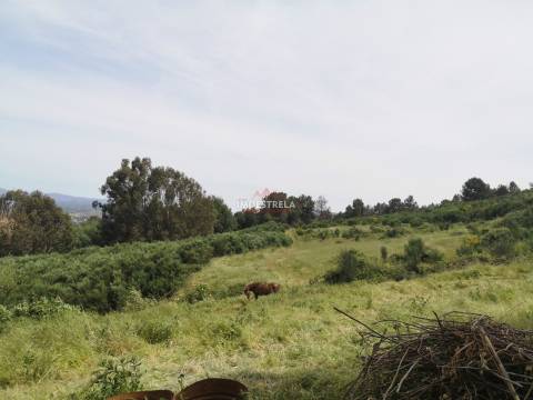 Quinta Serra Estrela