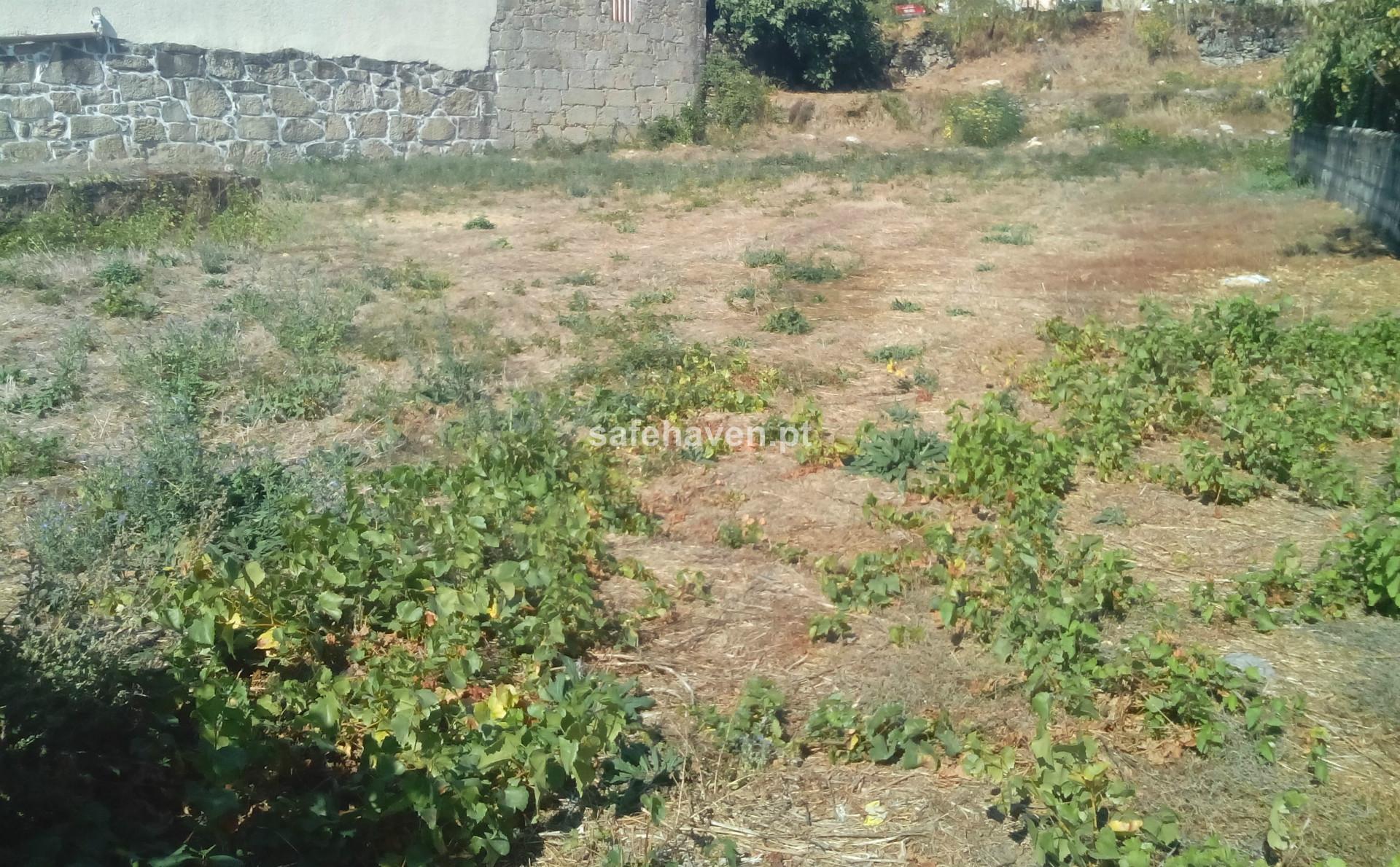 Lote de Terreno  Venda em Mangualde, Mesquitela e Cunha Alta,Mangualde