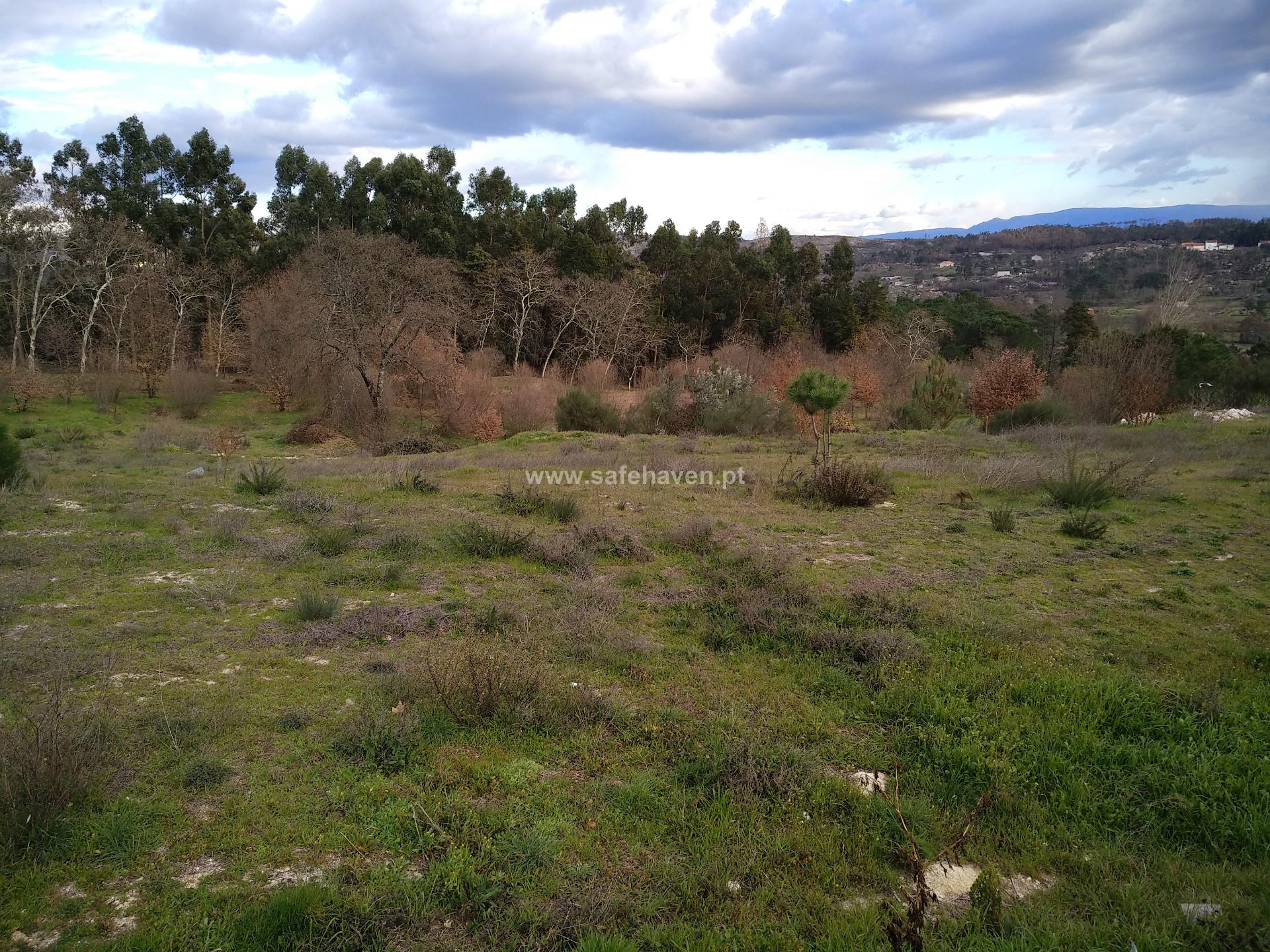 Lote de Terreno  Venda em Mangualde, Mesquitela e Cunha Alta,Mangualde